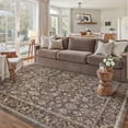 thumbnail image 4 of BERTHMEER 5'x7' Area Rugs for Living Room Vintage Brown Rugs for Bedroom Kitchen Non Slip Washable Carpets Oriental Distressed Home Office Dorm Dining Room Traditional Distressed Throw Rugs, 4 of 6