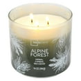 thumbnail image 2 of Mainstays 3-Wick Ombre Wrapped Alpine Forest Scented Candle, 14 oz, 2 of 8