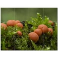 thumbnail image 1 of Mushroom Ceramic Tile Mural Kitchen Backsplash Bathroom Shower 401190-XL43, 1 of 3