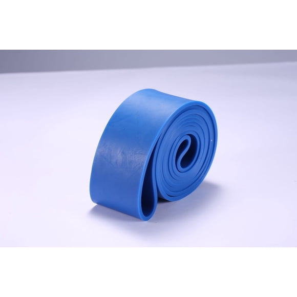 Zhuge Resistance Bands, Pull Up Bands, Pull Up Assist Band Exercise Resistance Bands for Men & Women Working Out, Body Stretching, Physical Therapy, Muscle Training(Blue)