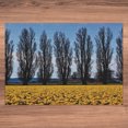 thumbnail image 5 of Ambesonne Landscape Jigsaw Puzzle Durable Cardboard, Daffodil Field Farming, 1000 pcs, Mustard Blue, 5 of 5
