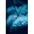 thumbnail image 2 of Blagoeva, Ivelina 13x18 White Modern Wood Framed Museum Art Print Titled - Blue, 2 of 4