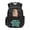 Math Capybara, variant on Bulopur Capybara Kids Backpack for Girls Cute School Bag Lightweight Multi-Pocket Book Bag for Elementary Students