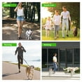 thumbnail image 3 of HAMPPLIES Medium Dog Leash Green Hands Free Walking Belt with Reflective Safety Features, 3 of 8