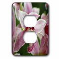 thumbnail image 1 of 3dRose ORCHID - B - 2 Plug Outlet Cover (lsp_8987_6), 1 of 1