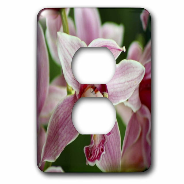 3dRose ORCHID - B - 2 Plug Outlet Cover (lsp_8987_6)