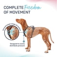 thumbnail image 2 of Arnés para perros HALTI Anatomy con asa talla M gris, 2 of 5