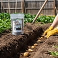 thumbnail image 2 of Old Cobblers Farm™ Wicked Growth Seed Potato Fertilizer-Strengthens Roots, Boosts Yields, and Supports Healthy Potato Growth with Eco-Friendly, Slow-Release Nutrients. (5/10/15/20 lbs)(10lbs), 2 of 10