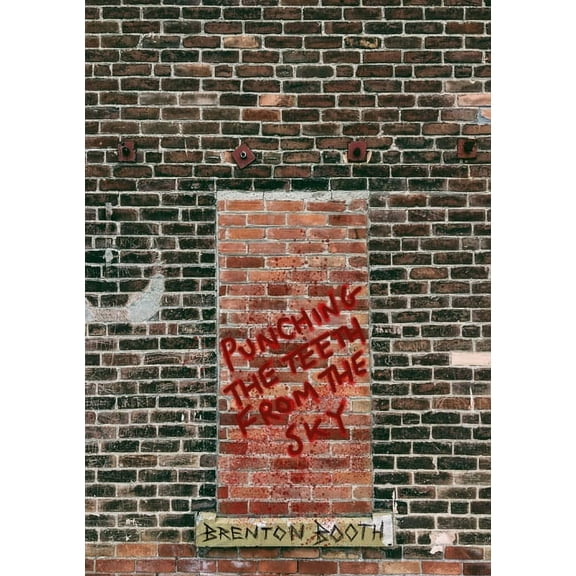 Punching The Teeth From The Sky (Paperback)