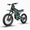 Green, variant on RIXOC GT60 Electric Dirt Bike for Adults,3000W Peak Motor up to 40MPH,60V 35AH Battery up to 75Miles,19"/1.6" Fat Tire Full Suspension E-Mountain Bike,APP Control,UL2849