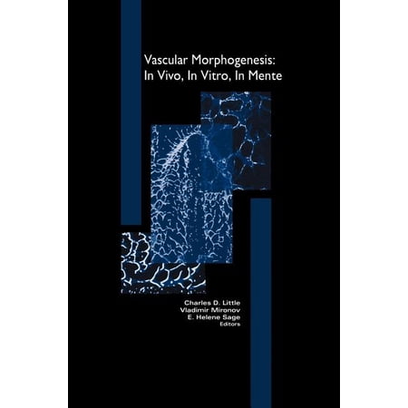 ISBN 9781461286783 product image for Cardiovascular Molecular Morphogenesis: Vascular Morphogenesis: In Vivo, in Vitr | upcitemdb.com