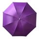 thumbnail image 1 of Paraguas plegable impermeable de 8 varillas para viajes de camping al aire libre Berenjena, 1 of 9