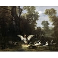 thumbnail image 2 of Oudry, Jean-Baptiste 24x20 Black Ornate Wood Framed with Double Matting Museum Art Print Titled - Ducks, 2 of 4