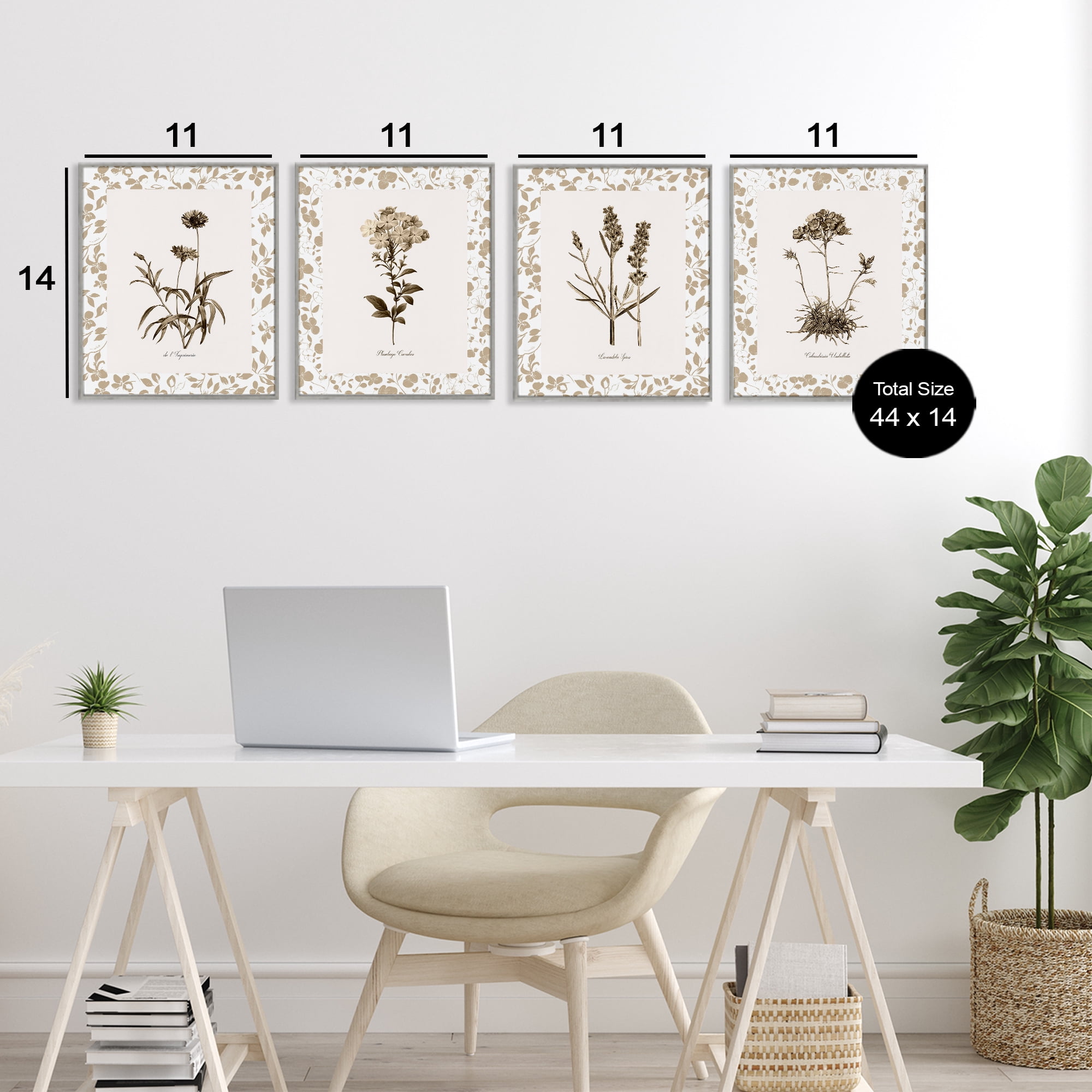 Stupell Industries Neutral Imperial Flower Studies 4 Piece Gray Framed Giclee Art Set, design by Kelly Donovan