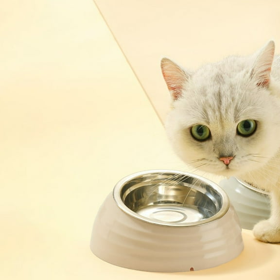 Tgbvmt Stainless Steel Slant Pet Bowl 7.1In Neck Guard Anti Slip Base Removable Easy Clean Dual Use Food Water Bowl for Cats Dogs Indoor Feeding Daily Mealtime Pet Tableware Supplies Decor