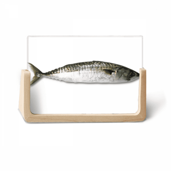 Ocean Fish Activity Long Black Photo Wooden Photo Frame Tabletop Display