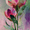 Pink Lily, variant on Vibrant Magenta Flower Leaf Canvas Painting，Floral Wall Decor for Living Room Bedroom Dining Room Office Hallway
