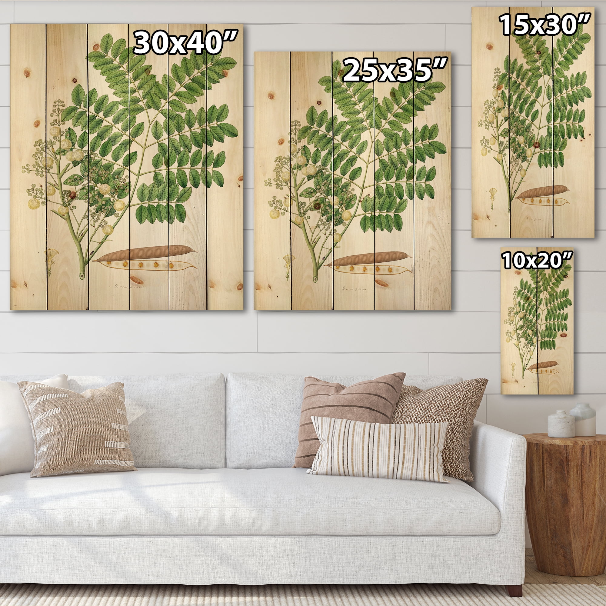 Designart 'Ancient Botanicals VII' Farmhouse Print on Natural Pine Wood
