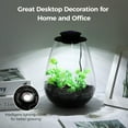 thumbnail image 2 of Mini Desktop Glass Plant Terrarium with Grow Light - Planter for Succulent Moss Miniature Gardening Landscape, Small Fish Tank, Indoor Plant Growth, Office Home Decoration, Plant Lovers Gifts, 2 of 5