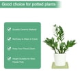 thumbnail image 3 of Uxcell 2-Pack Platillo de Cerámica para Plantas, Bandeja Captadora de Agua de 6.3 Pulgadas, Platillos para Macetas de Plantas de Interior [Cuadrado Verde Matcha], 3 of 7