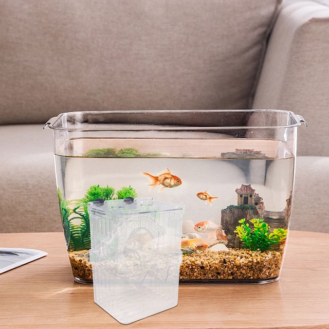 WEUVEB 3Ud De Crianza Transparente Para Peces Pequeños Con Ventosa Para Acuarios Decorativos