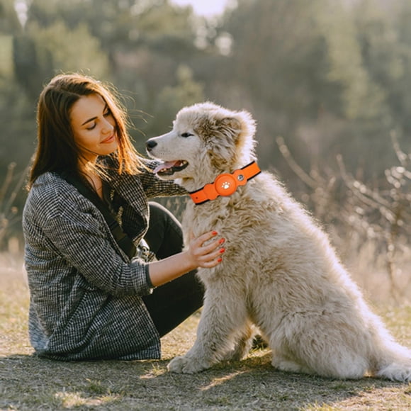 CBFFDC Button Powered Dog GPS Tracker Waterproof Pet Collar with GPS Real Time Location Tracking Long Life Adjustable