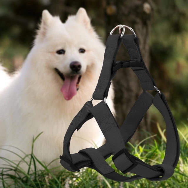 Conjunto de arnés y correa para perros, chaleco ergonómico para mascotas de todos los tamaños, resistente y seguro para paseos al aire libre 2cmx120cm