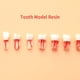 thumbnail image 2 of Modelo de diente para enseñanza Oral Dental resina dientes resina endodoncia Dental modelo de diente con canal de raíz de color y práctica de pulpa Gao Jinjia LED, 2 of 2