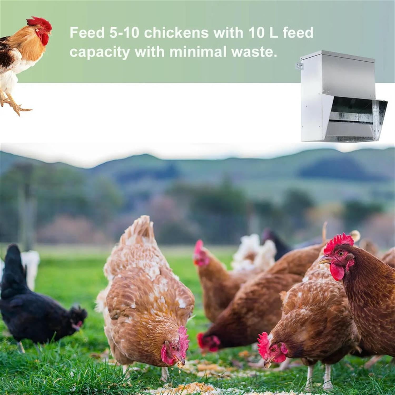 Kadyn Outdoor Automatic Metal Chicken Feeder, Poultry Feeder with Protective Lid for Chickens, Bantams, Pheasants, Holds 13 L of Feed, Silver