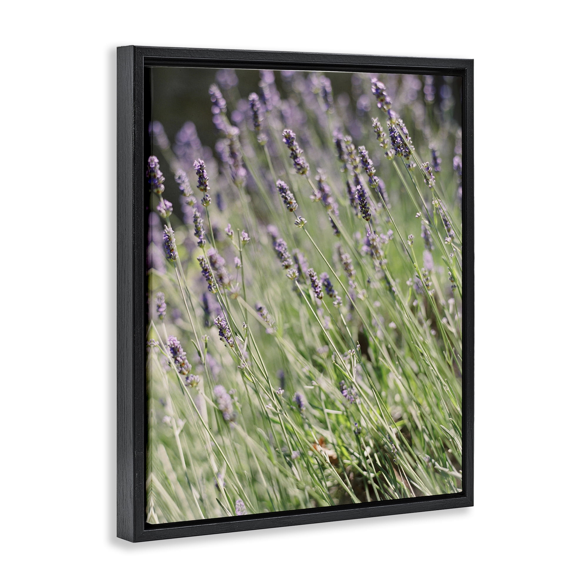 Stupell Industries Country Lilac Garden Botanical & Floral Photography Black Floater Framed Art Print Wall Art, 25 x 31