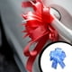 thumbnail image 3 of Inteprter Tire de la cinta de lazos para envolver regalos Cestas de regalos multicolores resistentes al desgaste jubilosa Multifuncional Kits de decoración para fiestas Azul claro, 3 of 6