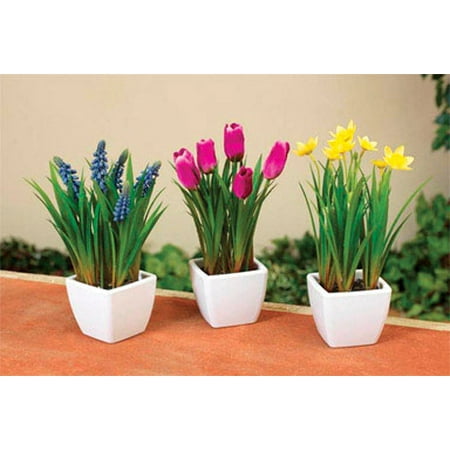 SPRING POTTED PLNT 9"