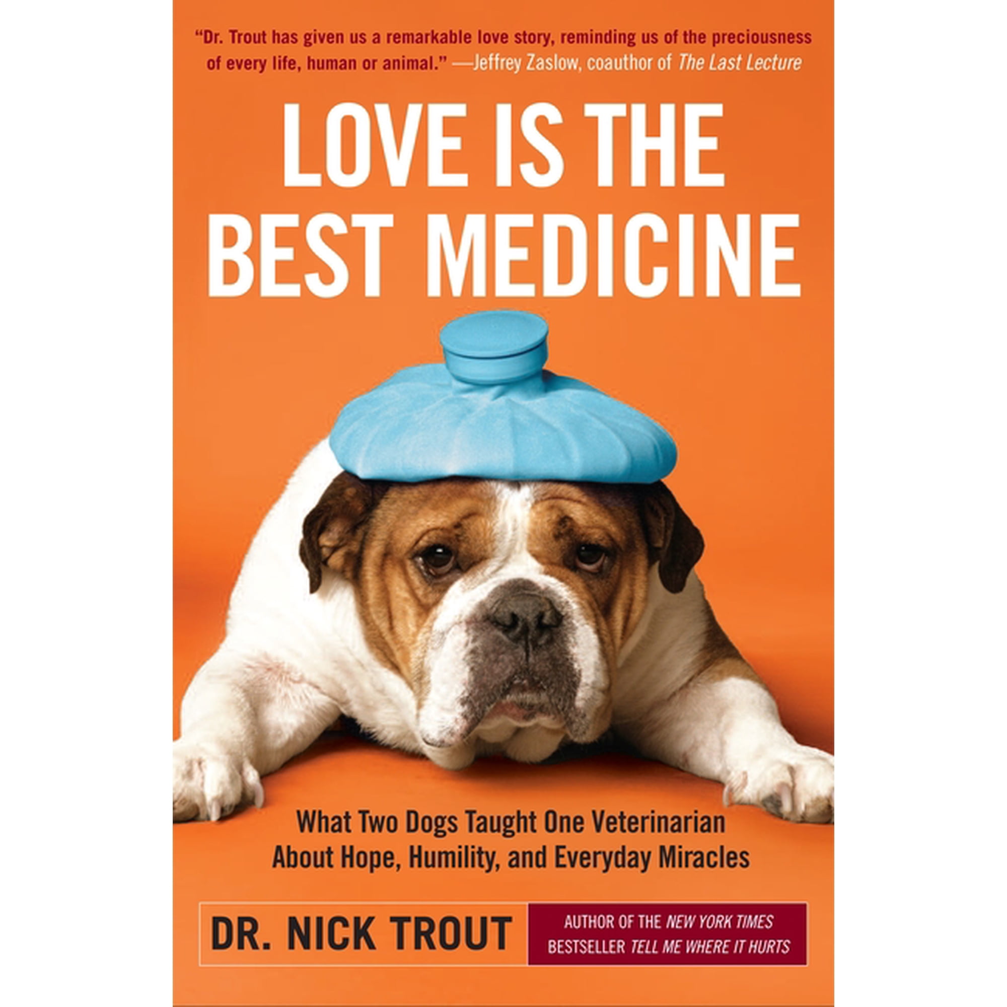 Love Is the Best Medicine: What Two Dogs Taught One Veterinarian about Hope Humility and Everyday Miracles (Paperback)