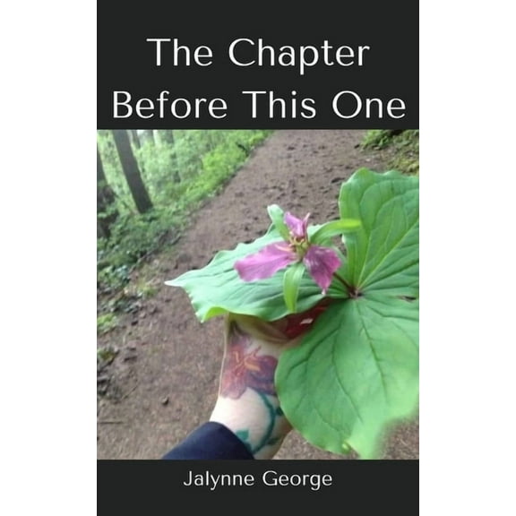The Chapter Before This One, (Paperback)