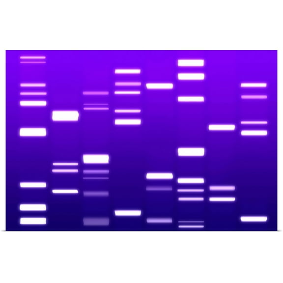 Great BIG Canvas | Rolled Michael Tompsett Poster Print entitled DNA Art Purple