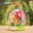 86331, variant on Pantasy Building Blocks The Little Prince Crystal Ball Series Small Particle Boy Girl Assembled Toys Desktop Ornament Gifts