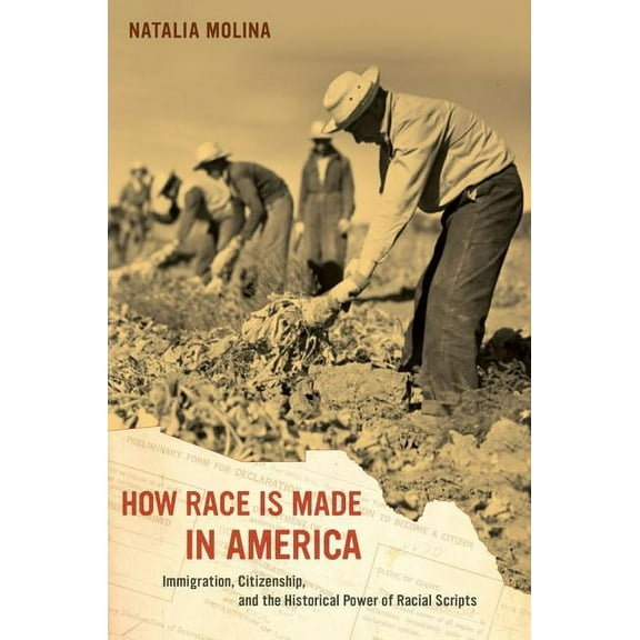 American Crossroads: How Race Is Made in America : Immigration, Citizenship, and the Historical Power of Racial Scripts (Series #38) (Edition 1) (Paperback)