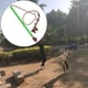 thumbnail image 1 of Dog Teaser Masticar Juguetes para jugar Ejercicio de entrenamiento Fácil de llevar para perros , medianos y grandes Suministros para masc Salvador Avance de cachorros, 1 of 10