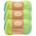 thumbnail image 1 of Libélula renovada de Yarn Lion Brand Landscapes, 150 g, 212 m, paquete de 3, 1 of 6