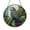 Acrylic 3.5 Inch, variant on Exotic Parrot Glass Window Hanging Decor, African Bird Suncatcher Art, Tropical Nature Ornament Gift Idea