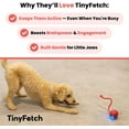 thumbnail image 6 of Tinyfetch Ball Dog Toy, Tinyfetch Interactive Motion Dog Cat Toys Balls,360°Smart Automatic Rolling Electric Dogs Ball Toy with Birdsong, Fast Moving Toy for Dog and Cat,Tough Chew Proof (2*Red), 6 of 6