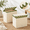 Green-2 pack, variant on Green 2 Pack Scalloped Paper Rope Wicker Storage Baskets with Lids