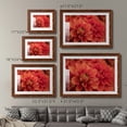 thumbnail image 4 of Spring Fire-Premium Framed Print - Ready to Hang, 4 of 7