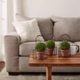 thumbnail image 4 of Pure Garden 9.5" Faux Boxwood– 3 Matching Realistic Topiary Arrangements in Decorative Metal Baskets (Set of 3), 4 of 5
