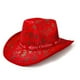 thumbnail image 1 of Conjunto combinado de día de Navidad Juego de rol para adultos Papá Noel El sombrero de vaquero, 1 of 2