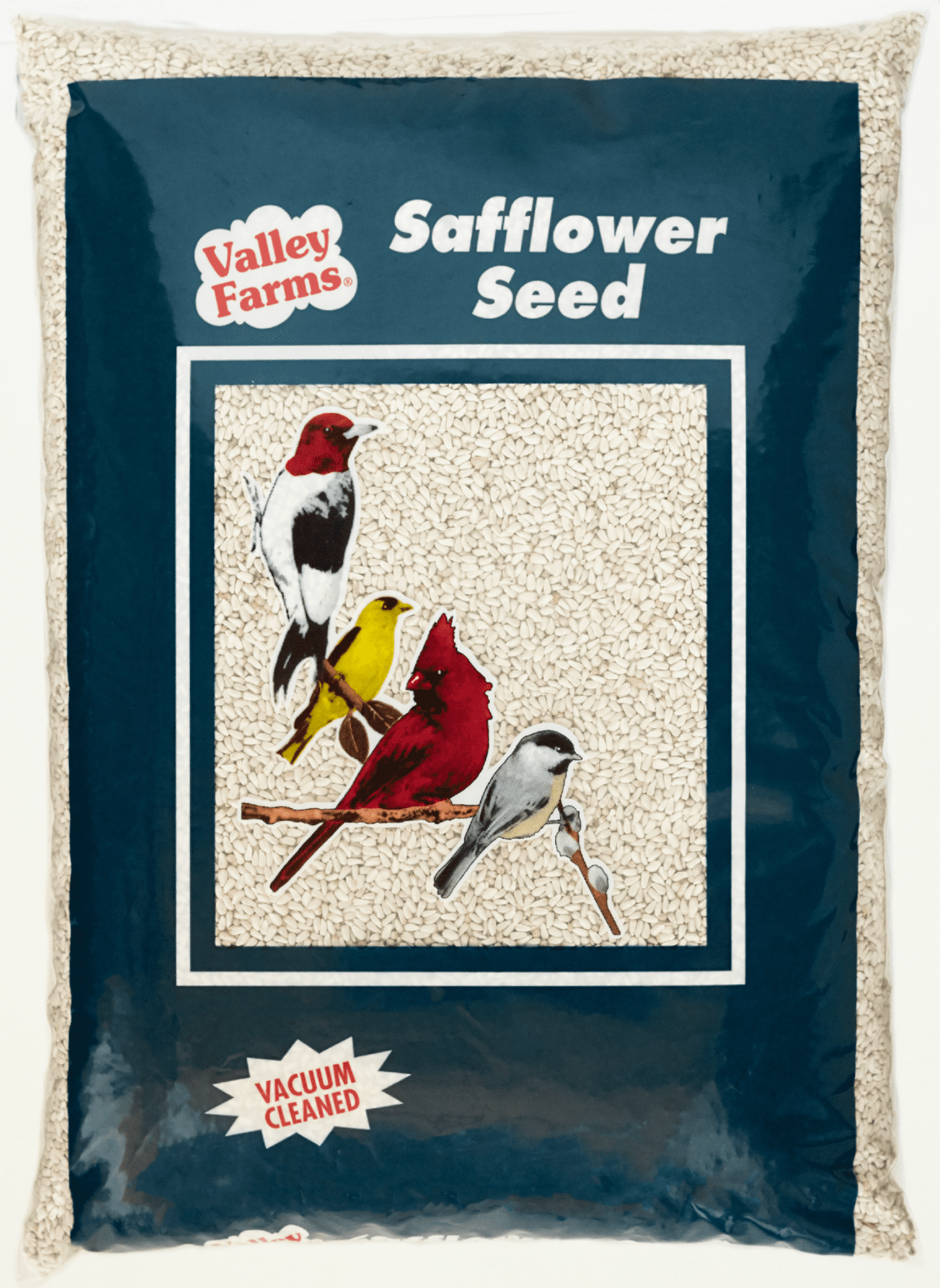 Safflower Seed Wild Bird Food Attract Cardinals & Squirrels DON"T