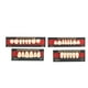 thumbnail image 2 of Material dental ANGGREK resina sintética dientes postizos Relleno, 2 of 8