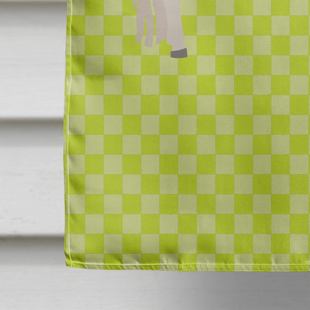 Caroline's Treasures BB7731CHF Paso Fino Horse Green Flag Canvas House Size , Large, multicolor