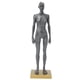 thumbnail image 1 of Modelo anatómico musculoesquelético, modelo anatómico humano de 30 cm Modelo anatómico humano Modelo de estructura musculoesquelética Innovación moderna, 1 of 8