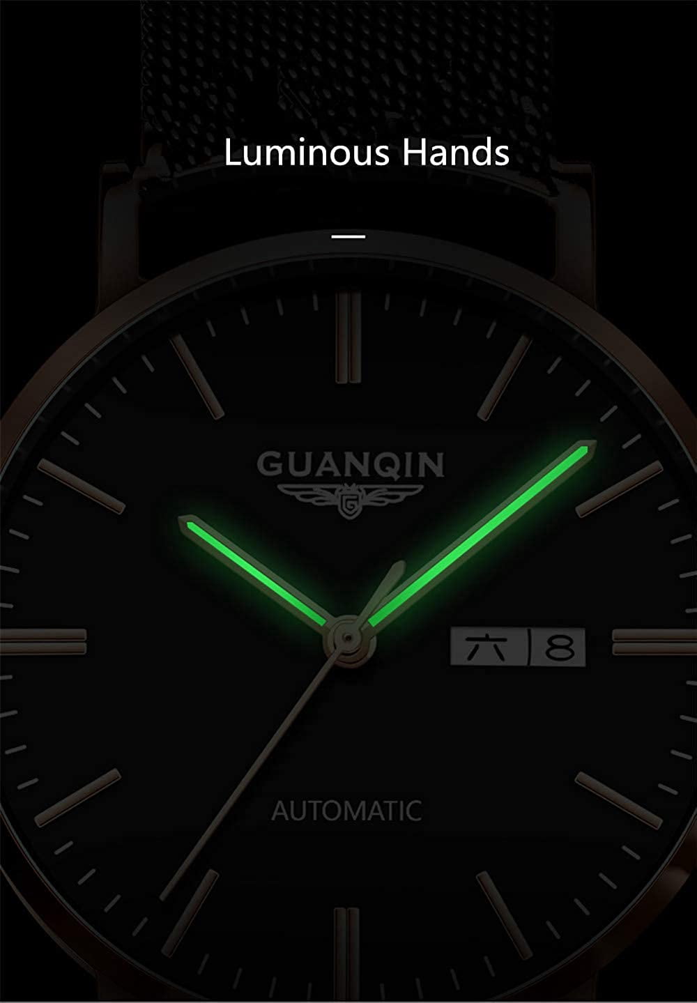 GUANQIN Automatic Mechanical Self Winding Watches for Men Day Date Luminous Steel Leather Wrist Watch